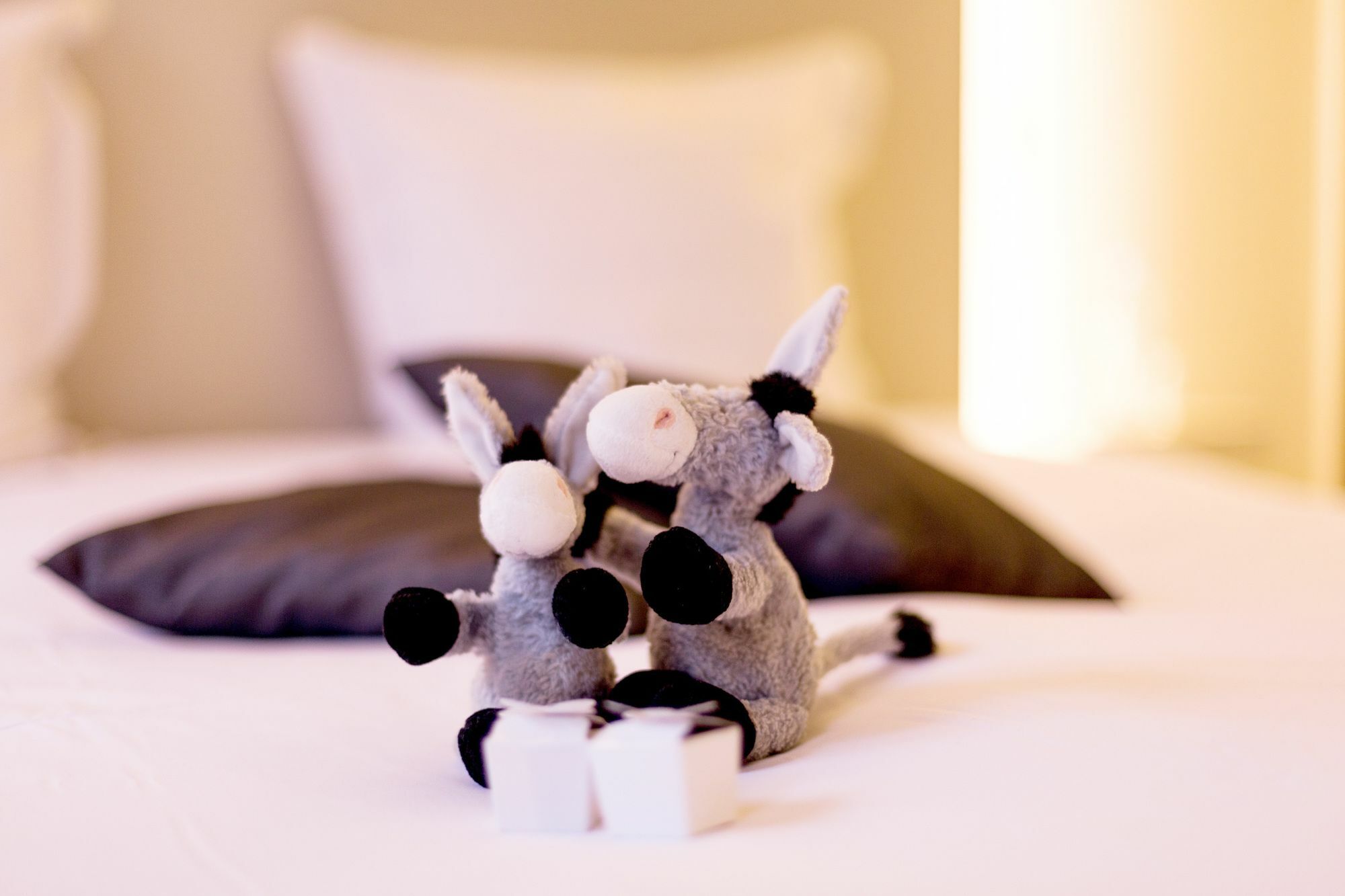 Bed & Breakfast Asinello Bruges